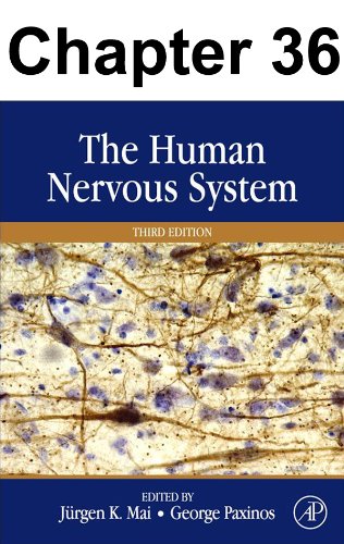 Chapter 036, Auditory System