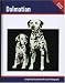 Search : Dalmatian (Dog Breed Book)