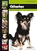 Chihuahua: Dog Breed Expert Series