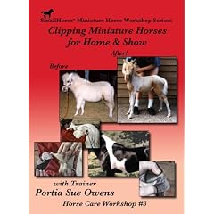 Body Clipping Miniature Horses