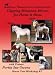 Body Clipping Miniature Horses