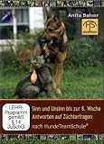 Sinn und Unsinn bis zur 8. Woche - Antworten auf Z�chterfragen nach HundeTeamSchule *Doppel-DVD* - 