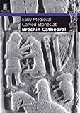 Early medieval carved stones at Brechin Cathedral