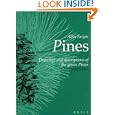 Pines: Drawings and Descriptions of the Genus Pinus