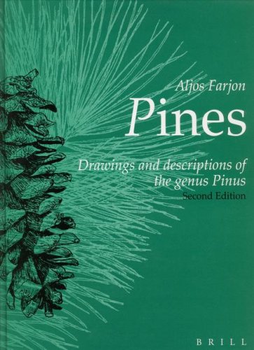 Pines: Drawings and Descriptions of the Genus Pinus under Plants in The Books Store