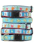 Life's A Beach Dog Collar, Sea Turtles, Large (15-21 x 1)