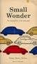 Small Wonder: The Amazing Story of the Volkswagen.