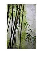 CM Creation Cuadro Decoplex 50X70 Plantas