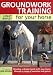 Groundwork Training for Your Horse