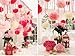 Aspire 36 Pcs Paper Decorations Pom Pom Pink Tissue Paper Flower Birthday Celebration Party Favors