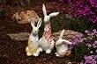 Resin Rabbit Statuaries - Set of 3