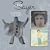 Silverbird/Just a Boy