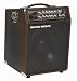 Genz Benz Shenandoah SHEN-CPK-10T 300-Watt 1 x 10 Inches Acoustic Guitar Amplifier