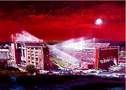 Arkansas Painting - Donald W. Reynolds Razorback Stadium