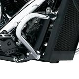 Cobra Engine Case Guards 01-3270 by Cobra