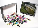 Photo Jigsaw Puzzle of Southern Elephant Seal - Young bulls sparring from Ardea Wildlife Pets