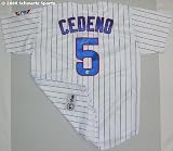 Ronny Cedeno Chicago Cubs Autographed Majestic Pinstripe Replica Jersey
