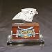 Carolina Panthers NFL Business Card Holder w/ Gift Box