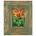 Thyme Hand- Rubbed Frame - Green