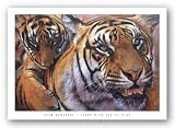 Tiger With Cub At Play by Stan Kaminski 36