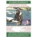 Fly Fishing - Tying Perfect Mayfly Duns, Emergers & Spinners
