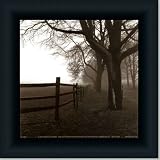 Corner Fence By Harold Silverman Art Print Poster Picture Framed Decor 10X10 by Framed Art Tilliams