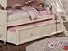 Dollhouse Twin Twin Bunk Bed Trundle by Acme Furniture
