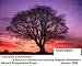 The Circle in the Forest: A story for children, as re-told by Stephen Windwalker by Stephen Windwalker ISBN B00136MNDM