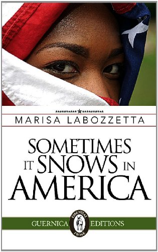 Sometimes It Snows in America (Essential Prose Series)