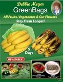 Debbie Meyer Green Bags.