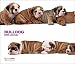   - Bulldog Dog 2009 Deluxe Calendar by THE DOG Artlist Collection