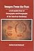 Images from the Past: Rock Art : A Self-Guided Tour of Petroglyphs and Pictographs of the American Southwest