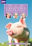 All Creatures Great and Small: Series 7