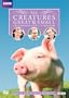 All Creatures Great and Small: Series 7