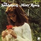 Misty Roses