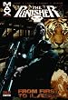 Punisher Max: From...