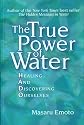 The True Power of Water: Healing and Discovering Ourselves