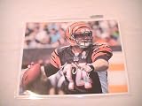 ANDY DALTON SIGNED AUTOGRAPHED 8-10 PHOTO CINCINNATI BENGALS COA + HOLOGRAM