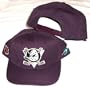 Anaheim Mighty Ducks Solid Plastic Snapback Snap Back Hat / Cap