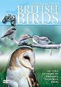Ultimate Guide To British Birds [DVD]