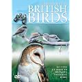Ultimate Guide To British Birds [DVD]