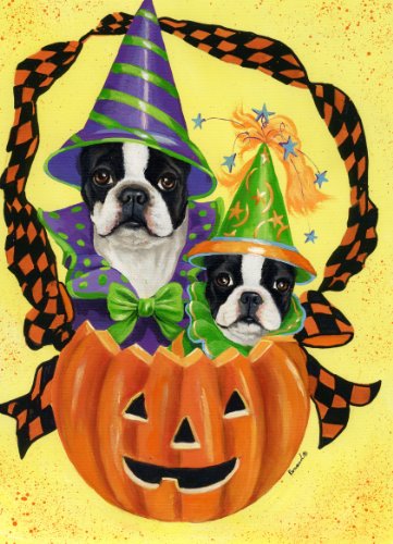 Boston Terrier Halloween-GF