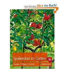 Spalierobst im Garten: Sorten, Pflege, Schnitt
