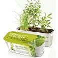 Herbs of Tuscany Herb Kit
