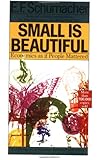 Small Is Beautiful: Economics as if People Mattered