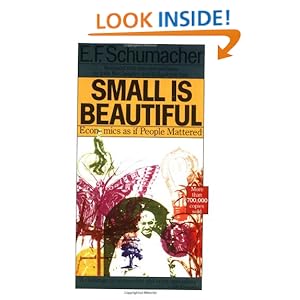 s Beautiful: Economics as if People Mattered: E