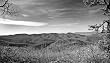 View in Charcoal, Shenandoah National Park - Unusual 16x20 Photographic Print by Brendan Reals