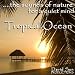 Ocean sounds, Quiet mind