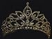 Quinceanera Tiara - Rhinestones - Gold Toned - 2in.