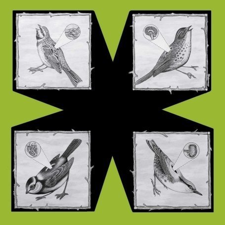 CD-Charts  Search : Birds
